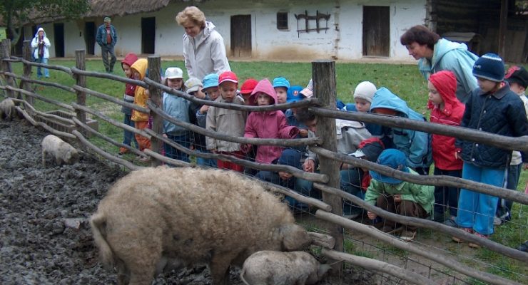 Állatok világnapja a vasi Múzeumfaluban